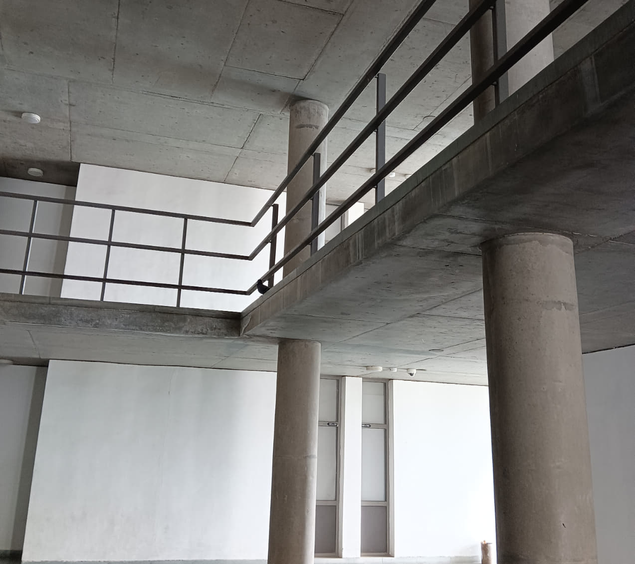 PDEU Academic photo 4